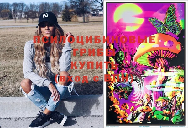 стаф Балахна