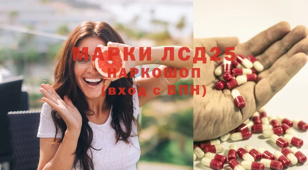 стаф Балахна